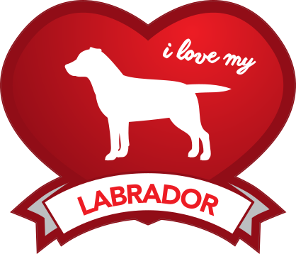 I Love My Labrador With Shaded Heart Sticker