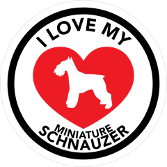I Love My Schnauzer With Big Heart Circle Sticker
