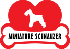 I Love My Schnauzer With Dog Bone And Heart Sticker