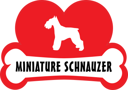 I Love My Schnauzer With Dog Bone And Heart Sticker
