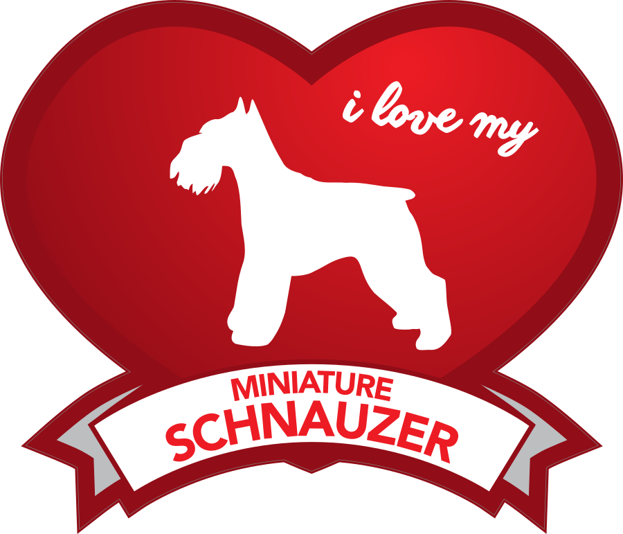 Miniature Schnauzer Dog Heart Vinyl Decal - Custom Text Car Sticker (White, 01122)