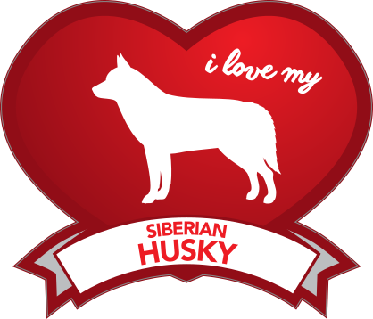 I Love My Siberian Husky With Shaded Heart Sticker
