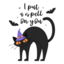 I Put a Spell On You Black Cat Sticker