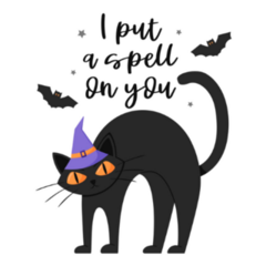 I Put a Spell On You Black Cat Sticker