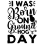 I Was Born On Groundhog Day Lettering Sticker