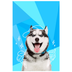 Ice Cream Husky Sticker