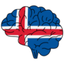 Iceland Brain Sticker