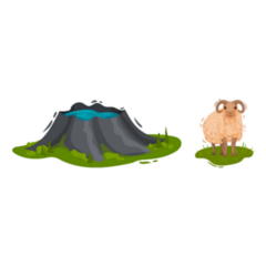 Iceland Spring & Sheep Sticker