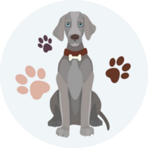 Icon Weimaraner Sticker