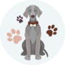 Icon Weimaraner Sticker
