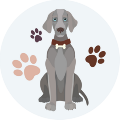 Icon Weimaraner Sticker