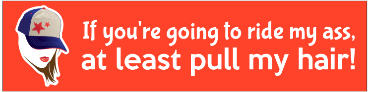 If youre going to ride my ass, at least pull my hair! Bumper Sticker