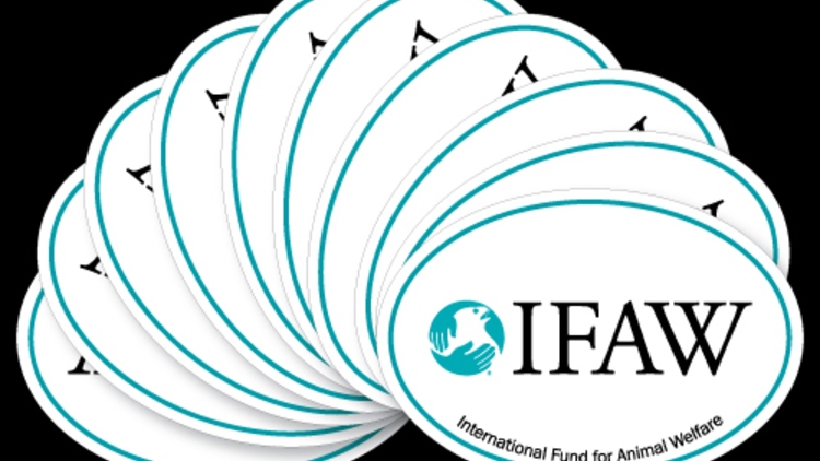 IFAW Custom Oval Stickers