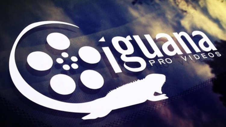 Iguana Video Custom Cut-Out Stickers