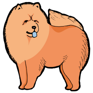 Illustrated Chow Chow Sticker