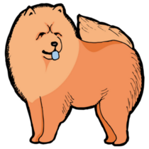 Illustrated Chow Chow Sticker