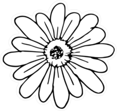Illustrated Daisy Flower Sticker