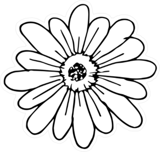 Illustrated Daisy Flower Sticker