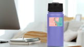 Illustrated Delaware Map Sticker on a Water Bottle (New) example