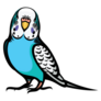Illustrated Parakeet Sticker