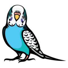 Illustrated Parakeet Sticker