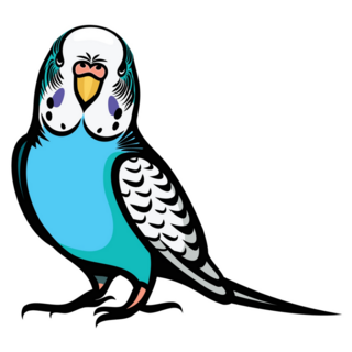 Illustrated Parakeet Sticker