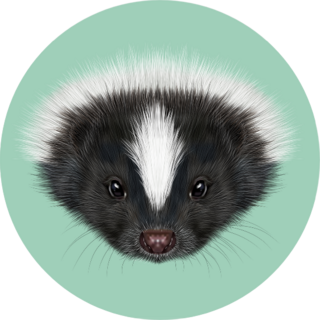 Illustrated Portrait Of Skunk Green Background Sticker