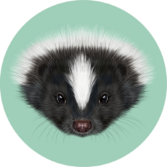 Illustrated Portrait Of Skunk Green Background Sticker