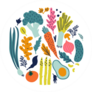 Illustrated Vegetables Sticker