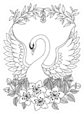 Illustration Beautiful Swan Coloring Book Sticker