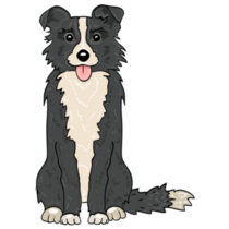 Illustration Border Collie Sticker