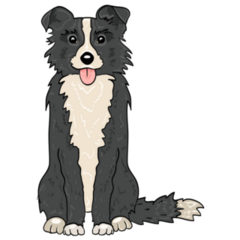 Illustration Border Collie Sticker
