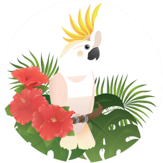 Illustration - Cockatoo, Hibiscus Flowers Sticker