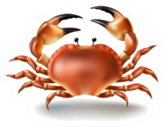 Illustration Crab In Realistic Style Sticker