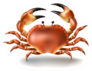 Illustration Crab In Realistic Style Sticker