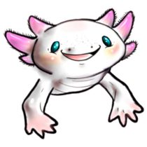 Illustration Cute Axolotl Sticker