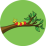 Illustration Cute Caterpillar In Tree Sticker