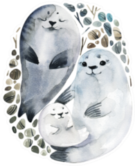 Illustration Cute Fur Seals In A Watercolor Style Sticker