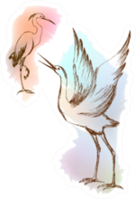 Illustration Heron Crane With Colorful Paint Sticker