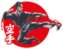 Illustration Is A Hieroglyphs Of Karate (japanese) Sticker