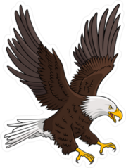 Illustration Of A Bald Eagle Sticker