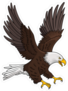 Illustration Of A Bald Eagle Sticker