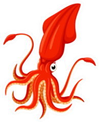 Illustration Of A Bright Orange Cartoon Squid Sticker