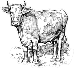 Illustration Of A Cow In The Meadow Sticker