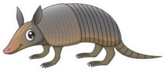 Illustration Of A Cute Little Cartoon Armadillo Sticker