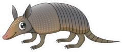 Illustration Of A Cute Little Cartoon Armadillo Sticker