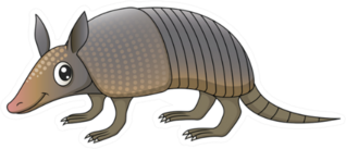 Illustration Of A Cute Little Cartoon Armadillo Sticker
