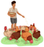 Illustration Of A Farm Boy Feeding Free Range Chickens Sticker