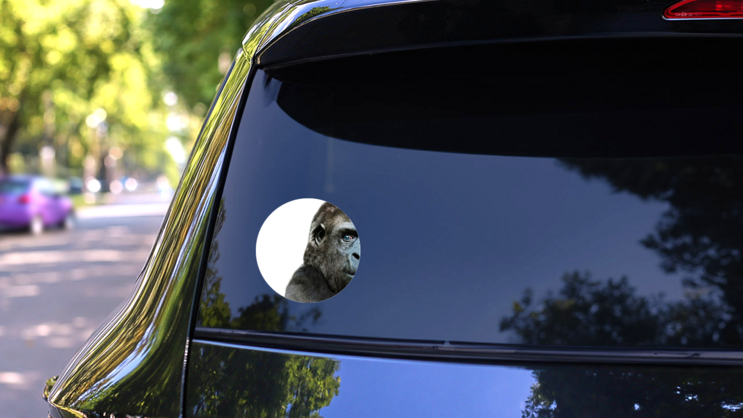 Illustration Of A Gorilla Face Close Up Sticker on a Rear Car Window (New) example