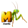 Illustration Of A Letter M Praying Mantis Sticker